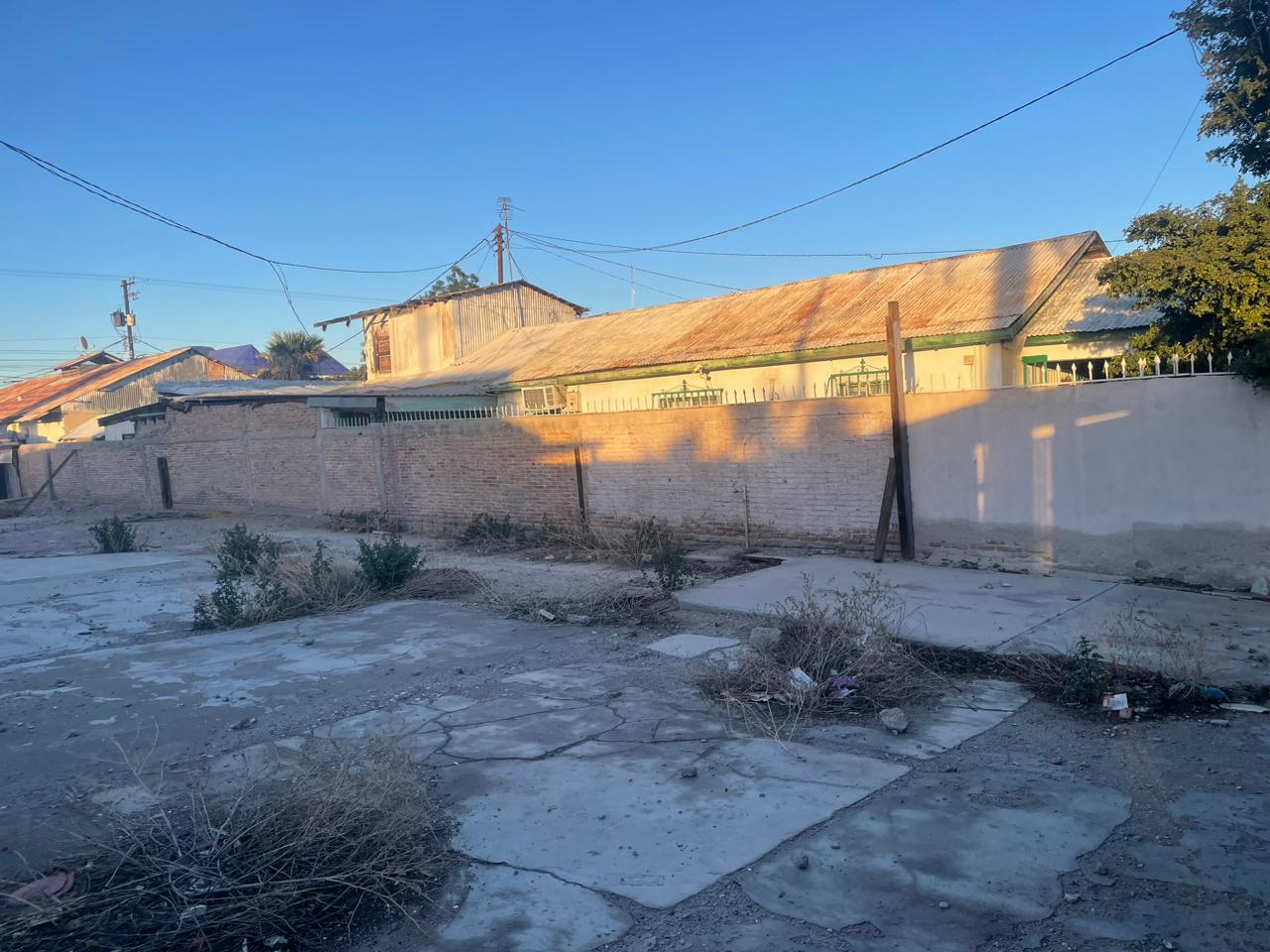 WhatsApp Image 2024-01-11 at 4-39-56 PM (1).jpeg